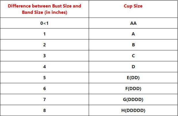 Women's bra cup size chart